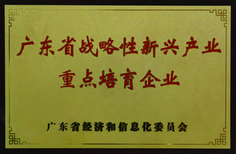 廣(guang)東省戰略性新(xin)興産(chan)業重(zhong)點培育齊(qi)業